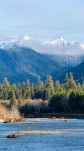 Preview wallpaper trees, forest, mountains, river, nature