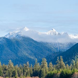Preview wallpaper trees, forest, mountains, river, nature