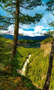Preview wallpaper trees, forest, mountains, view, nature