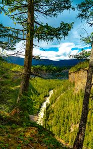 Preview wallpaper trees, forest, mountains, view, nature