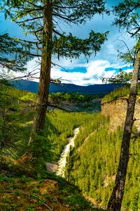 Preview wallpaper trees, forest, mountains, view, nature
