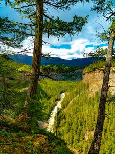 Preview wallpaper trees, forest, mountains, view, nature