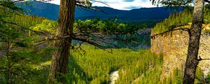 Preview wallpaper trees, forest, mountains, view, nature