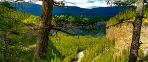 Preview wallpaper trees, forest, mountains, view, nature