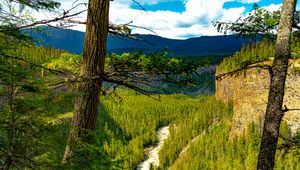 Preview wallpaper trees, forest, mountains, view, nature