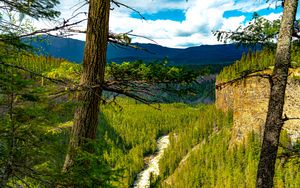 Preview wallpaper trees, forest, mountains, view, nature