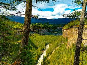 Preview wallpaper trees, forest, mountains, view, nature