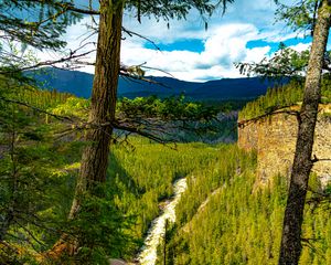 Preview wallpaper trees, forest, mountains, view, nature