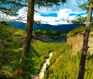 Preview wallpaper trees, forest, mountains, view, nature