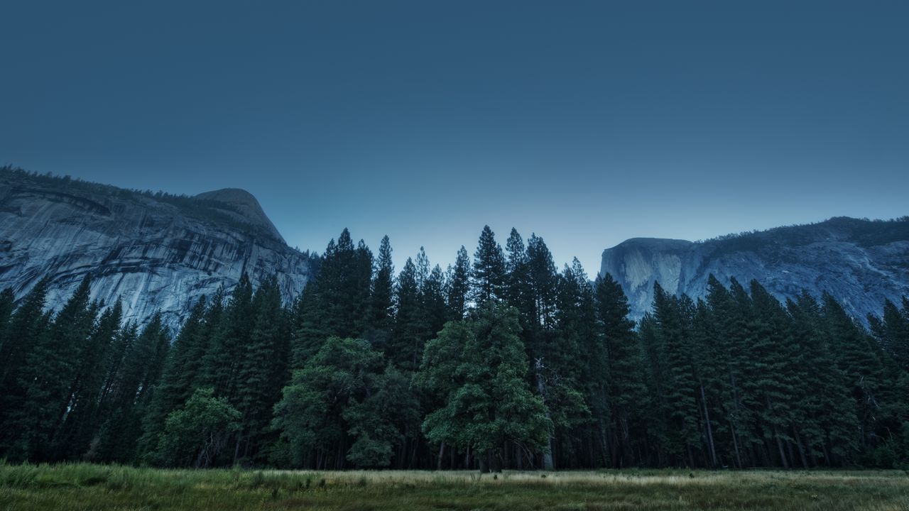 Wallpaper trees, forest, mountains, usa, california, yosemite valley, national park