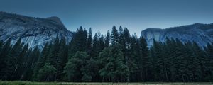 Preview wallpaper trees, forest, mountains, usa, california, yosemite valley, national park