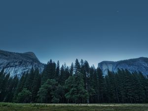 Preview wallpaper trees, forest, mountains, usa, california, yosemite valley, national park