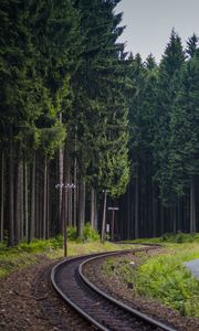 Preview wallpaper trees, forest, railway