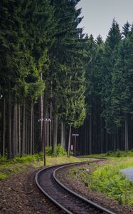 Preview wallpaper trees, forest, railway