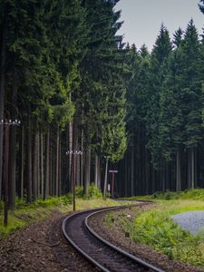 Preview wallpaper trees, forest, railway