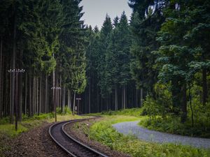 Preview wallpaper trees, forest, railway