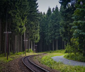 Preview wallpaper trees, forest, railway