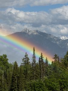 Preview wallpaper trees, forest, rainbow, mountain, landscape