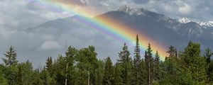 Preview wallpaper trees, forest, rainbow, mountain, landscape