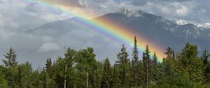 Preview wallpaper trees, forest, rainbow, mountain, landscape