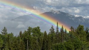 Preview wallpaper trees, forest, rainbow, mountain, landscape