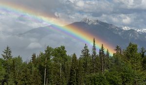 Preview wallpaper trees, forest, rainbow, mountain, landscape