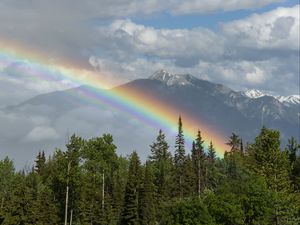 Preview wallpaper trees, forest, rainbow, mountain, landscape
