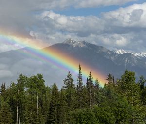 Preview wallpaper trees, forest, rainbow, mountain, landscape