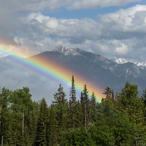 Preview wallpaper trees, forest, rainbow, mountain, landscape