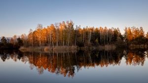 Preview wallpaper trees, forest, reflection, lake, autumn, landscape