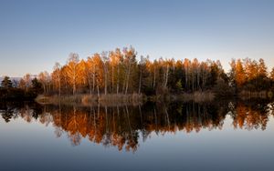 Preview wallpaper trees, forest, reflection, lake, autumn, landscape