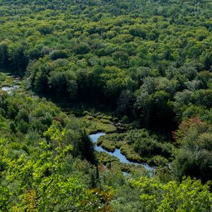 Preview wallpaper trees, forest, river, grass, nature