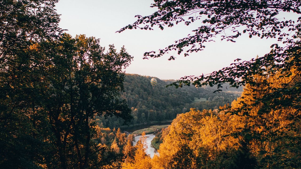 Wallpaper trees, forest, river, shore, landscape