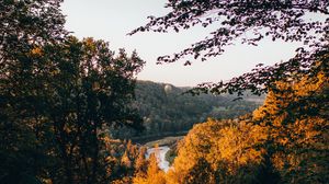 Preview wallpaper trees, forest, river, shore, landscape