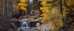 Preview wallpaper trees, forest, river, autumn, nature