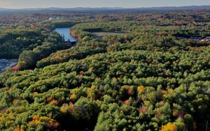 Preview wallpaper trees, forest, river, nature, landscape