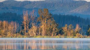 Preview wallpaper trees, forest, river, reflection, mountains