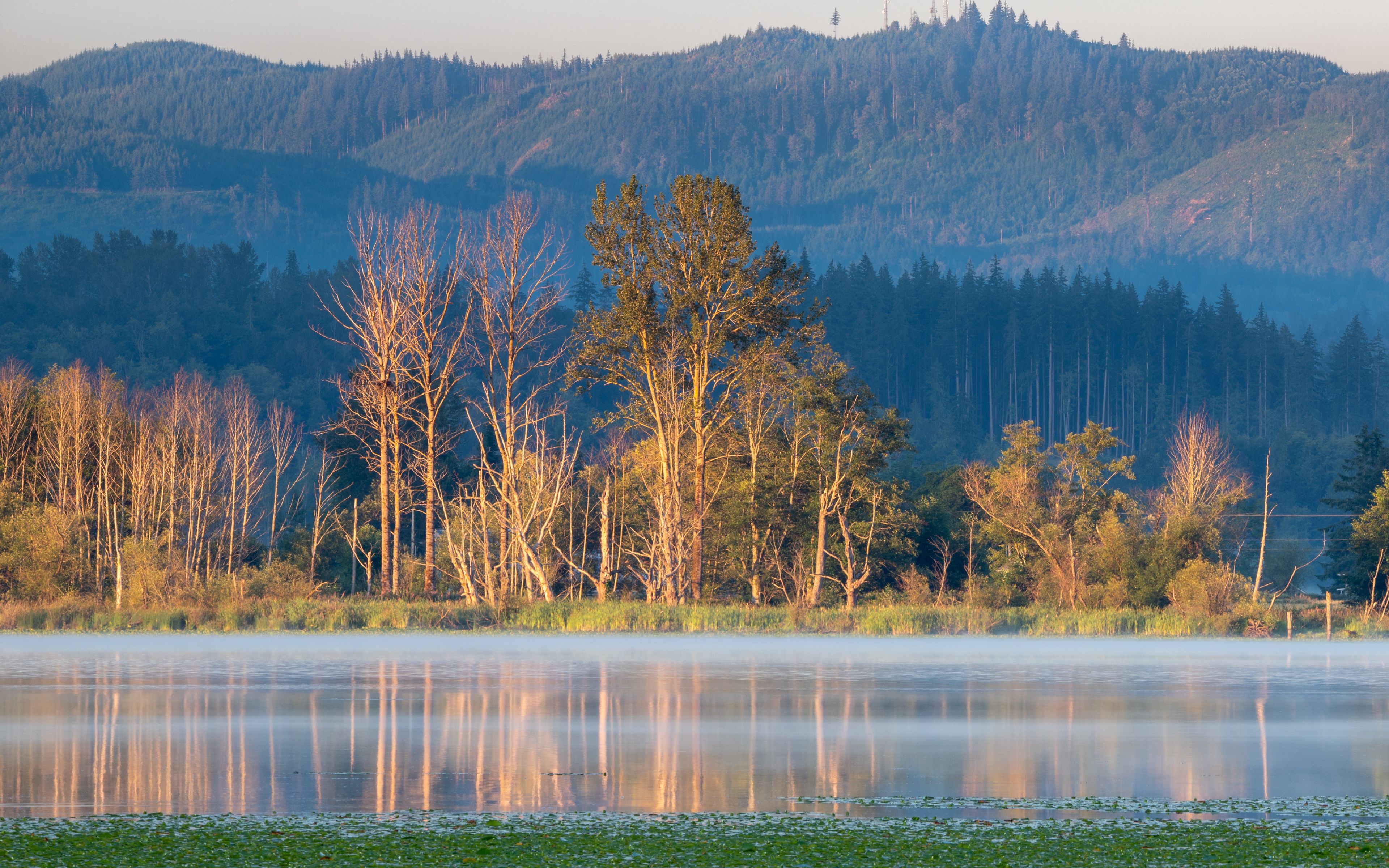 Download wallpaper 3840x2400 trees, forest, river, reflection