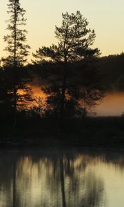 Preview wallpaper trees, forest, river, evening, landscape