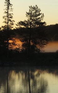 Preview wallpaper trees, forest, river, evening, landscape