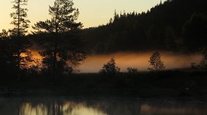 Preview wallpaper trees, forest, river, evening, landscape