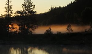 Preview wallpaper trees, forest, river, evening, landscape