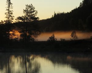 Preview wallpaper trees, forest, river, evening, landscape