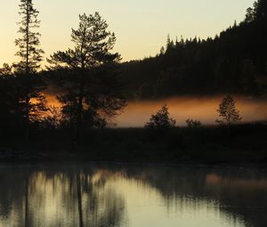 Preview wallpaper trees, forest, river, evening, landscape