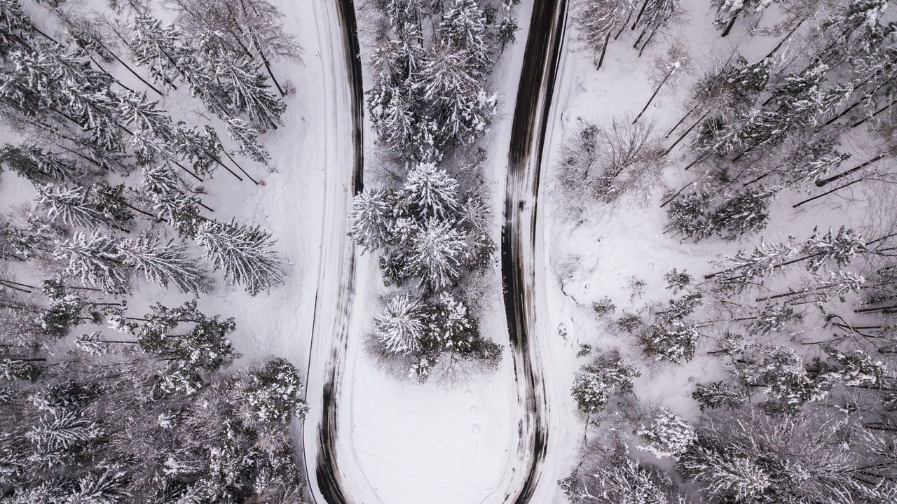 Wallpaper trees, forest, road, winter, snow, aerial view, nature