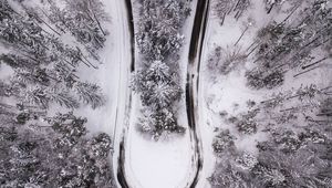 Preview wallpaper trees, forest, road, winter, snow, aerial view, nature