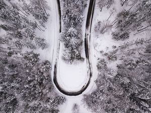 Preview wallpaper trees, forest, road, winter, snow, aerial view, nature