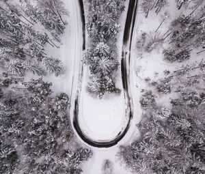 Preview wallpaper trees, forest, road, winter, snow, aerial view, nature