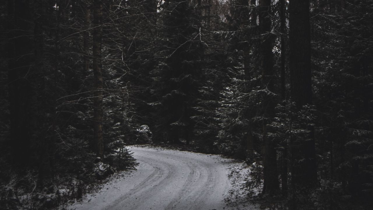 Wallpaper trees, forest, road, turn, dark