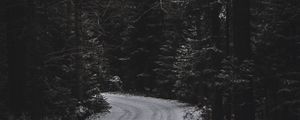 Preview wallpaper trees, forest, road, turn, dark